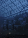 sensation white - 5.7.08 - fotografie 151 z 179